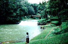 Malanda Falls