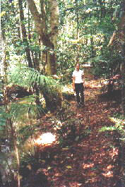 Chambers Border walk