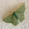 Emerald Moth